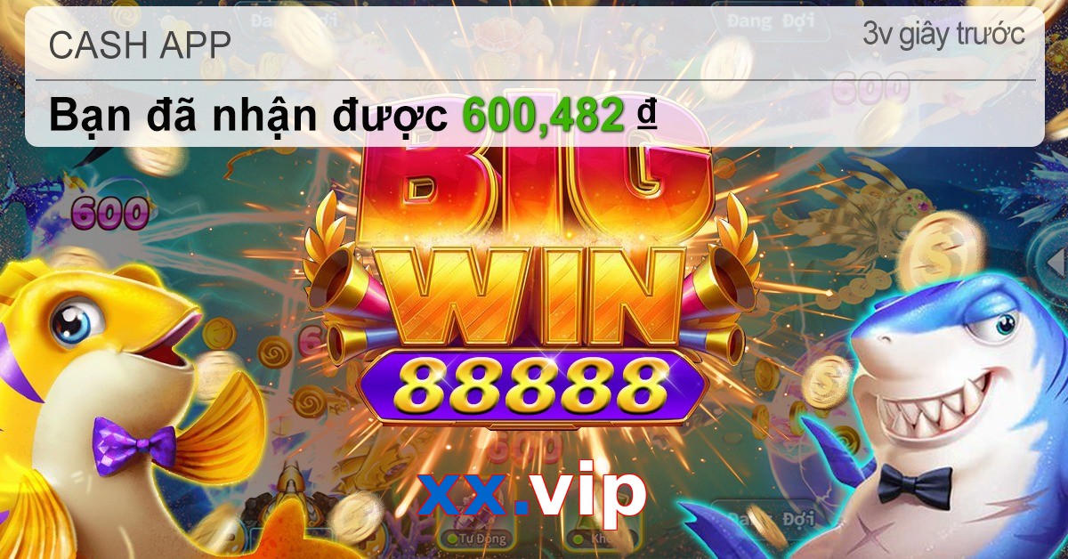 xx.vip